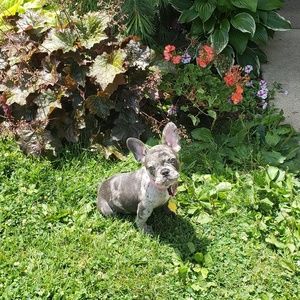 Meet your Posher, Tammy